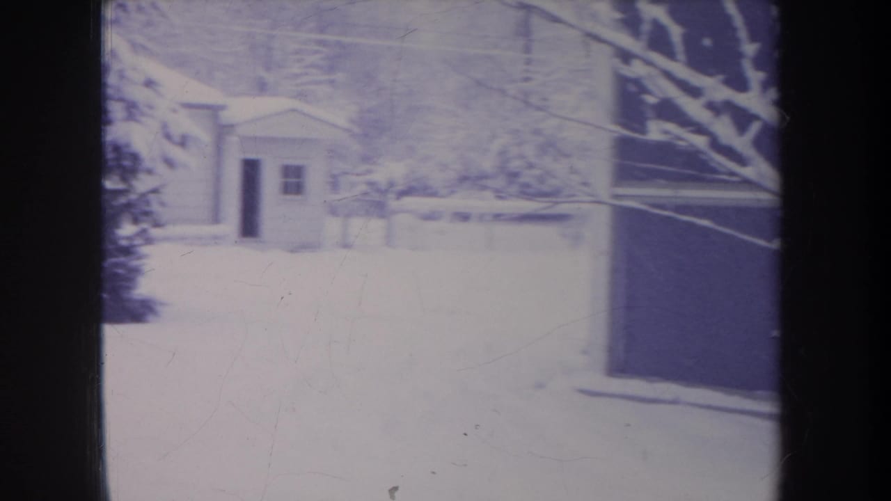 Snowy yard with a small shed or outbuilding in the background.