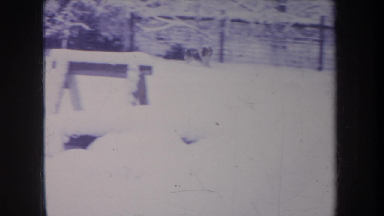 1968 Michigan home-movie frame with a dog running across a snow-covered yard near a low bench or fence rail.