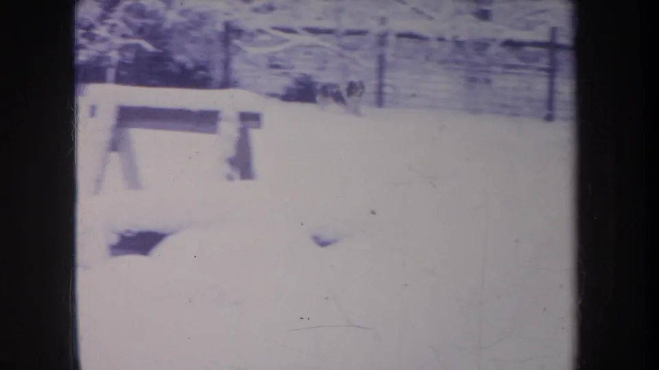 1968 Michigan home-movie frame with a dog running across a snow-covered yard near a low bench or fence rail.