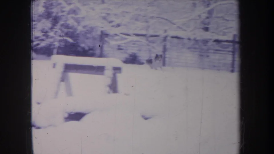 1968 Michigan 8mm frame showing a snowy backyard with a bench, trees, and a black and white dog partly visible in deep snow.