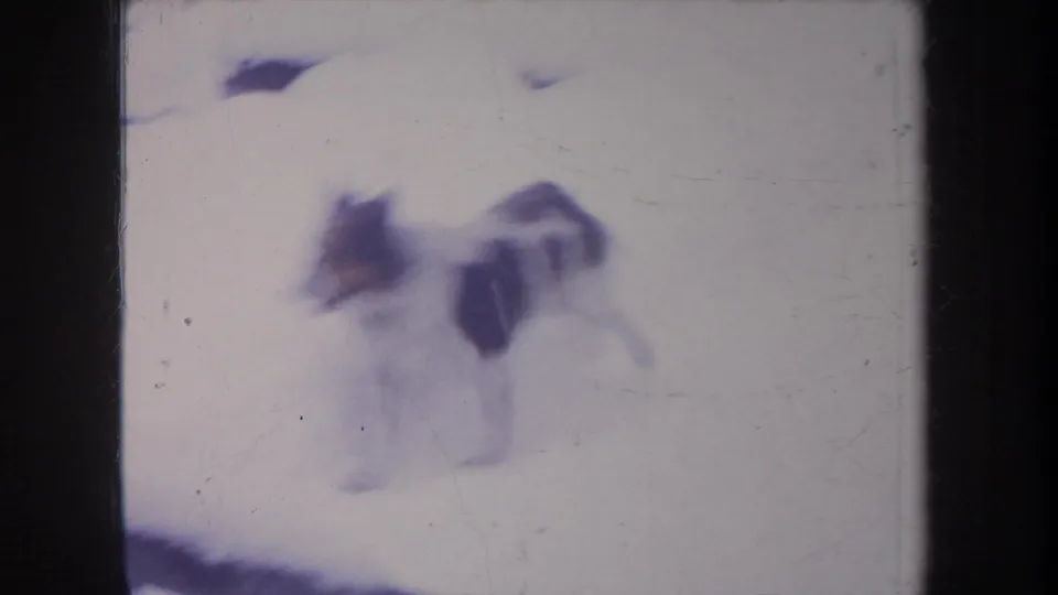 1968 Michigan 8mm frame with a black and white dog blurred by motion while moving through a bright snowy yard.