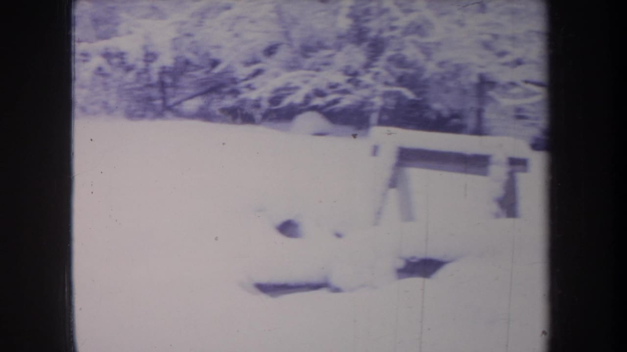 1968 Michigan 8mm frame showing the snowy yard, wooden bench, trees, fence line, and dark dog shapes or tracks in the foreground snow.