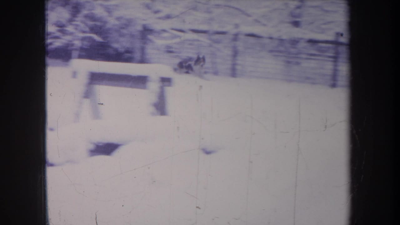 1968 Michigan 8mm frame showing a snow-covered yard with a pale bench or low structure, trees behind it, and heavy film borders.