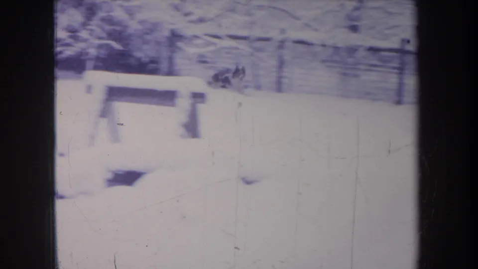 1968 Michigan 8mm frame showing a snow-covered yard with a pale bench or low structure, trees behind it, and heavy film borders.