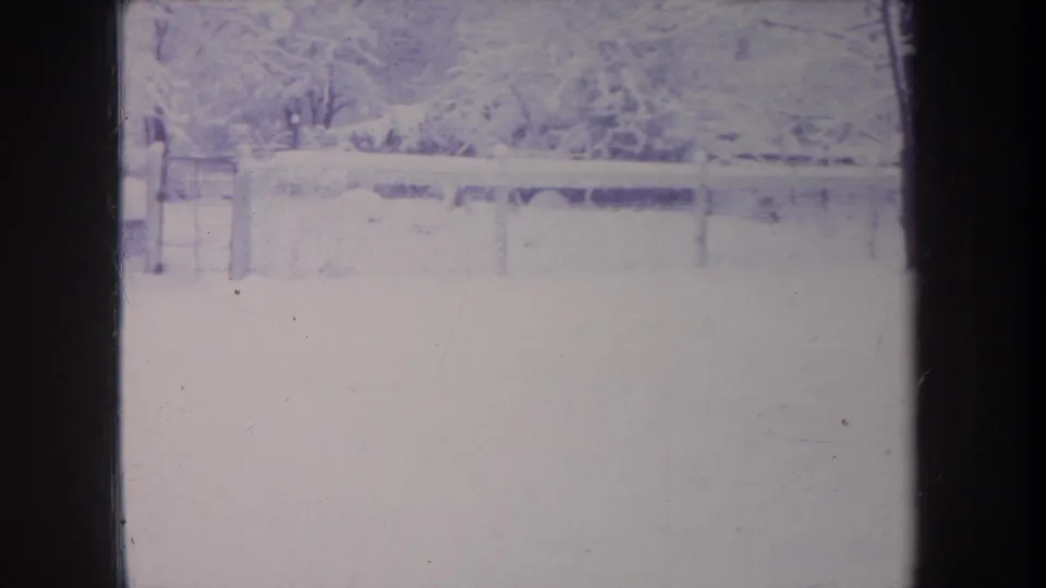 1968 Michigan winter yard view with a chain-link fence, gate area, snow cover, and bare trees beyond.