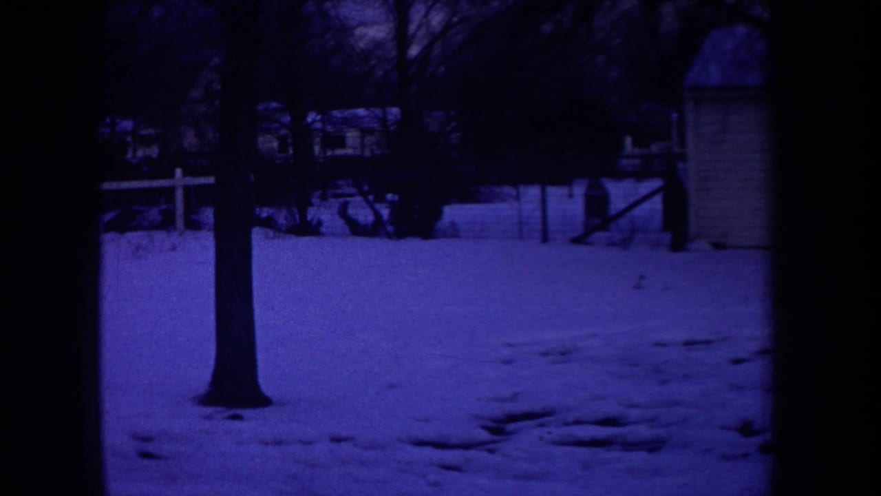 Snowy yard with bare trees, fence, and distant houses at night.
