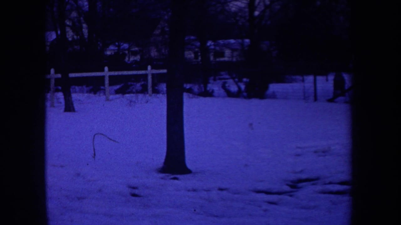 1968 Michigan 8mm frame showing a central bare tree, snow-covered ground, white fence rails, and houses beyond the yard.