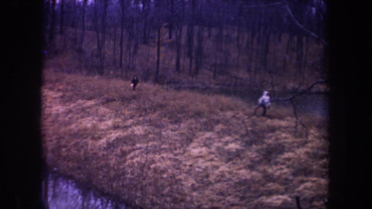 Late-1960s Michigan frame with two distant people walking along a grassy dike road near calm water and bare trees.