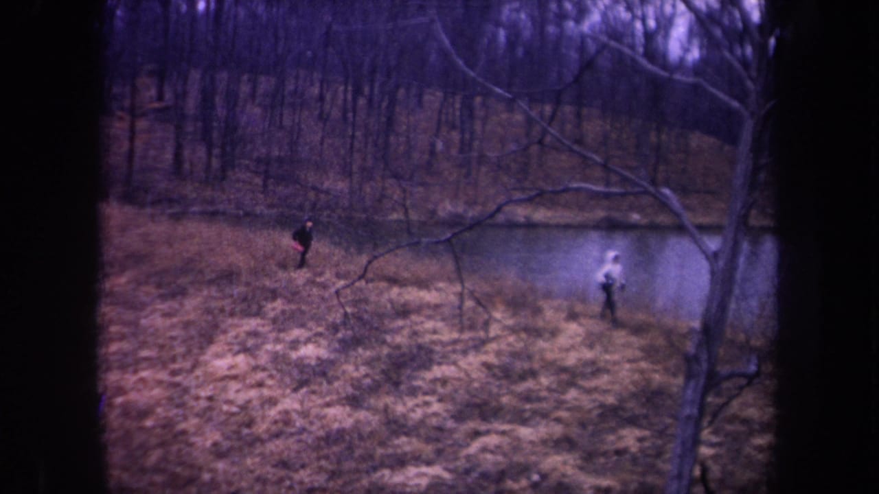 A soft 8mm frame shows two people walking through grass near a pond, with bare branches and wooded banks in Michigan.