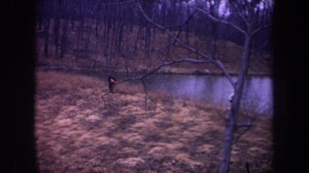 Near the end of the 1968 Michigan clip, a dark-clothed walker stands near the pond while another figure is partly visible at right.