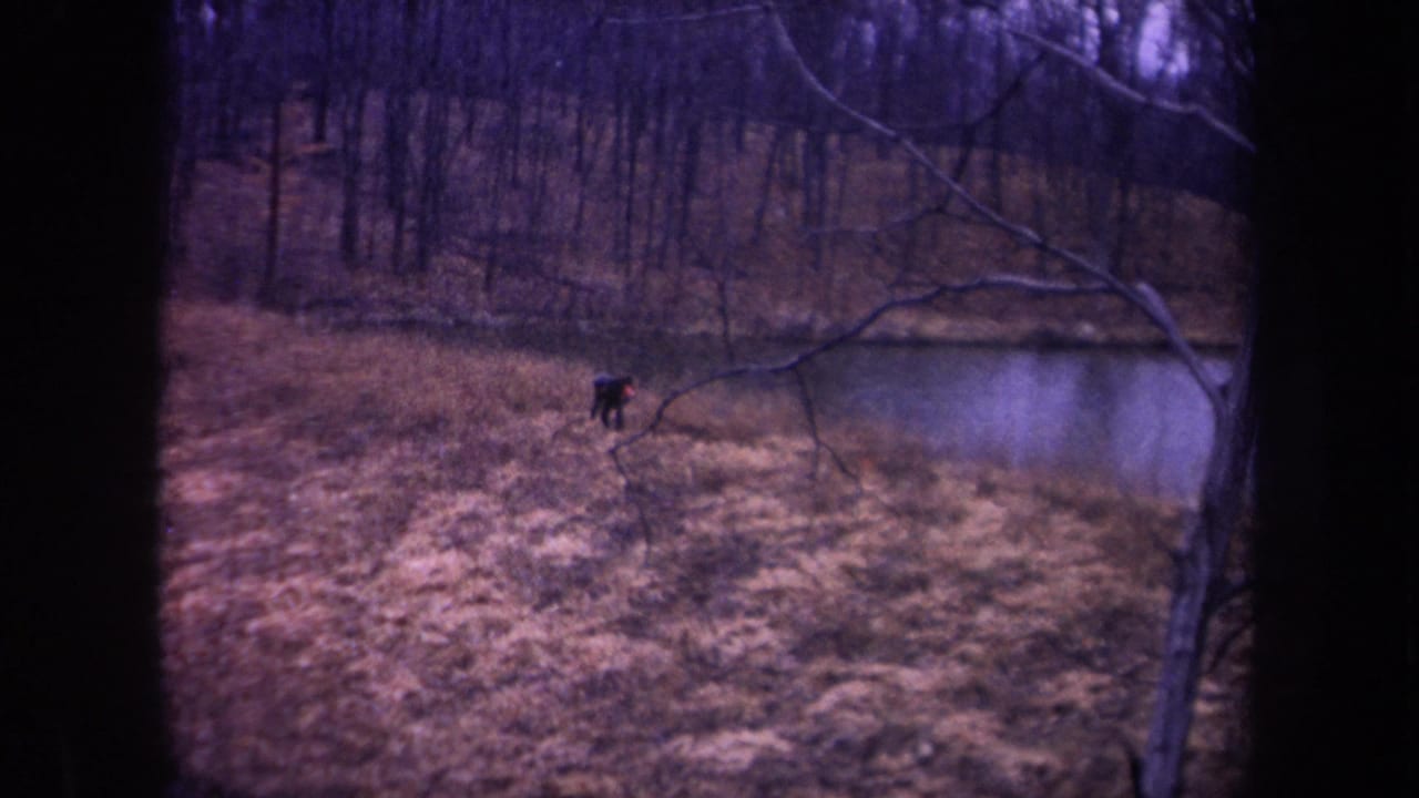 Distant person in dark clothing crosses a dry Michigan field near pond water, with bare branches and woods behind.