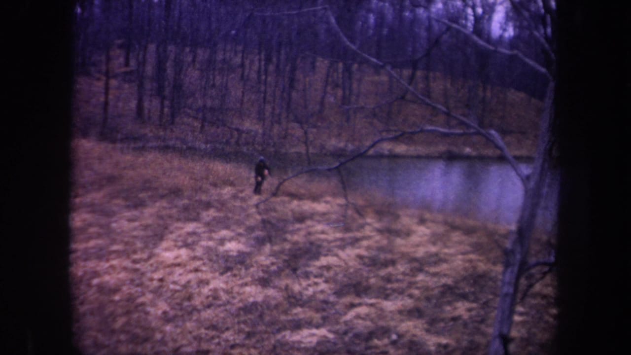 A dark-clothed figure walks through pale dry grass in rural Michigan, with pond water and leafless trees nearby.