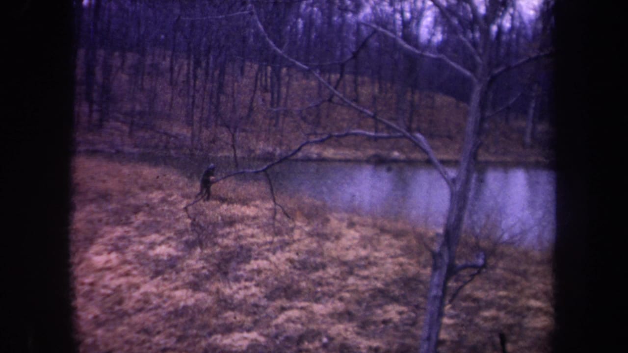 Final 1968 Michigan frame with a small dark figure near pond water, framed by bare branches, dry grass, and trees.