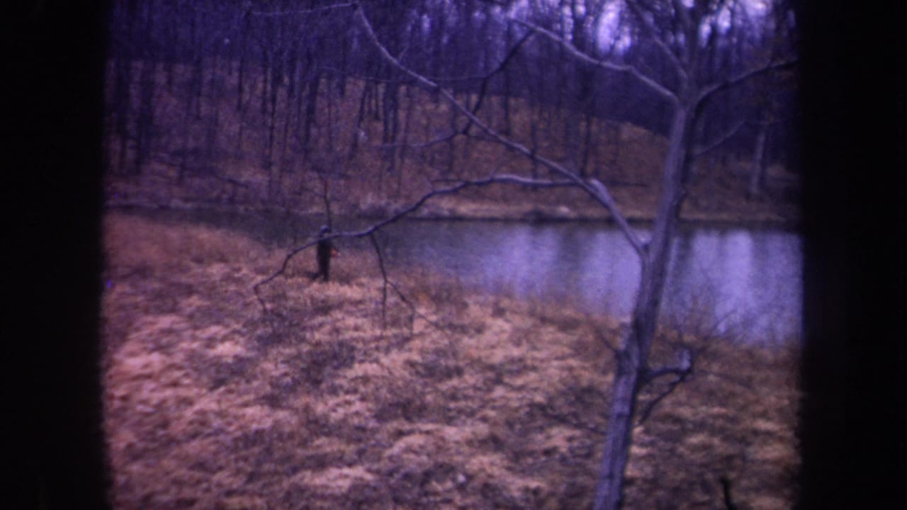 1968 Michigan 8mm frame showing a distant man near a calm pond, with bare trees and dry grass in the foreground.
