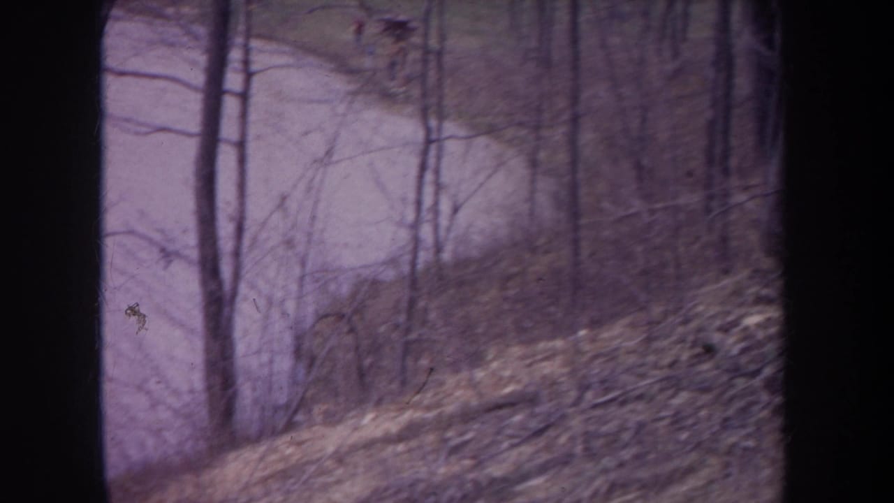 Vintage 8mm view of a Michigan winter lakeside woodland, with bare trunks, dry leaves, and soft purple-tinted film color.