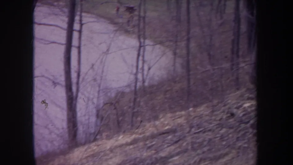 Vintage 8mm view of a Michigan winter lakeside woodland, with bare trunks, dry leaves, and soft purple-tinted film color.