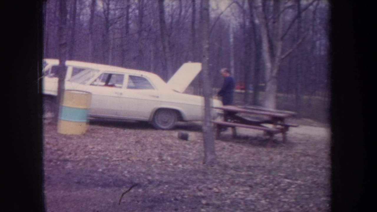 White sedan with hood open beside a picnic table and an adult figure in the woods.
