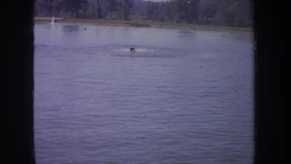 A distant swimmer crosses a Michigan lake or river in 1968 home-movie footage, with ripples and trees behind.