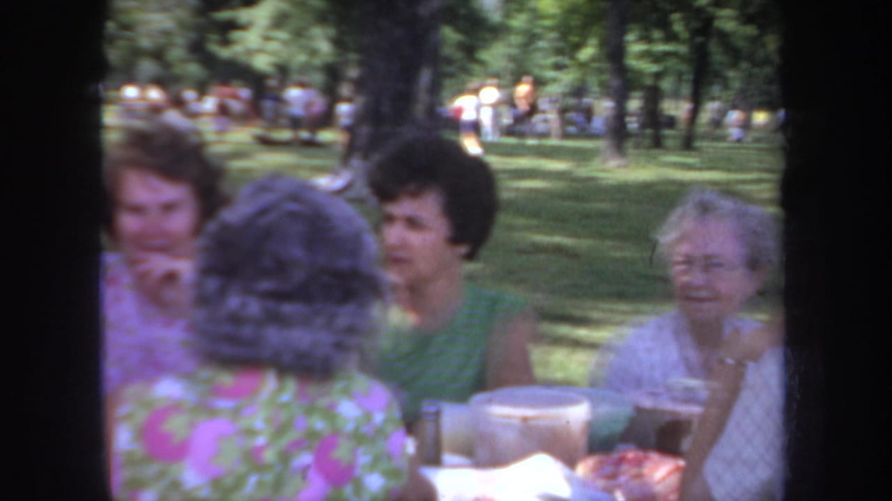 Adult women sit at a picnic table in a shaded Michigan park, with an older woman visible near food and drink containers.