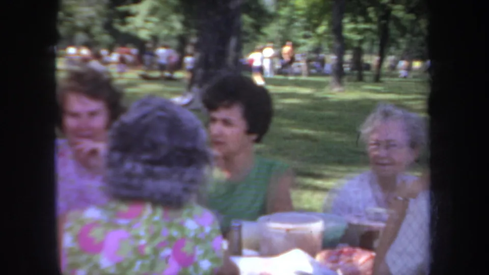 Adult women sit at a picnic table in a shaded Michigan park, with an older woman visible near food and drink containers.