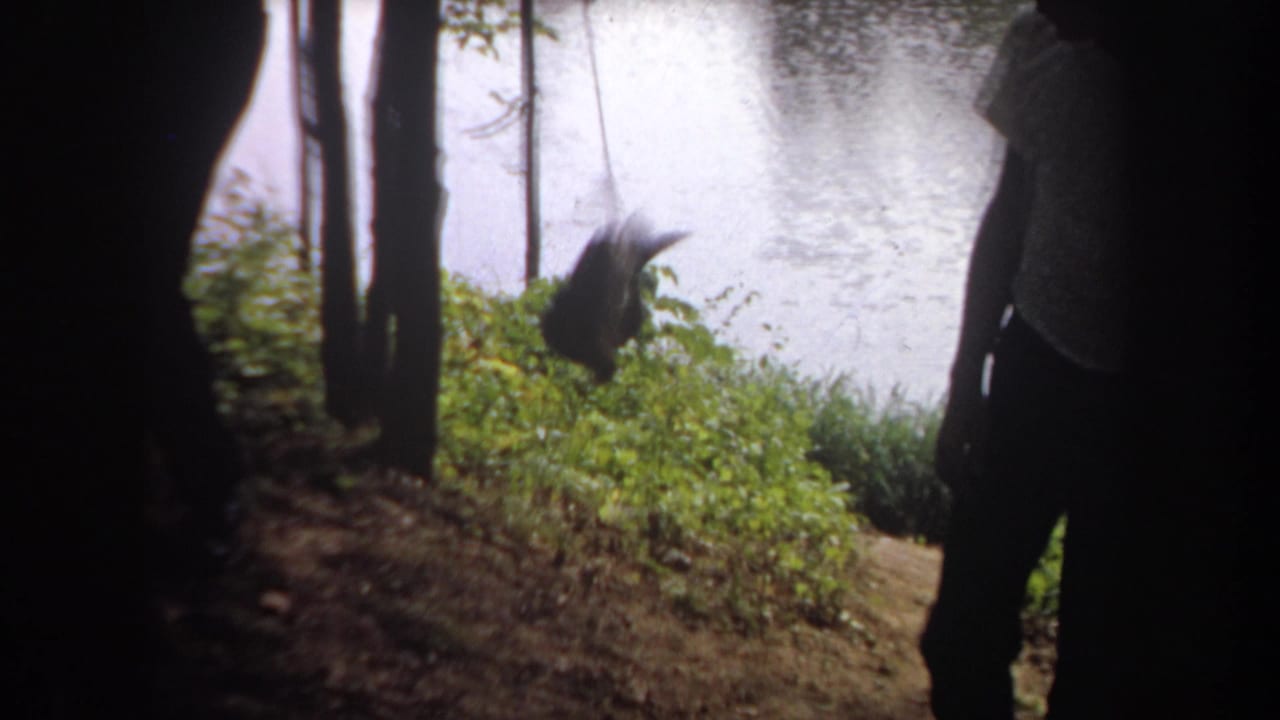 1968 Michigan 8mm frame showing a fish on a line near tree trunks by a lake, with a partly obscured person standing nearby.