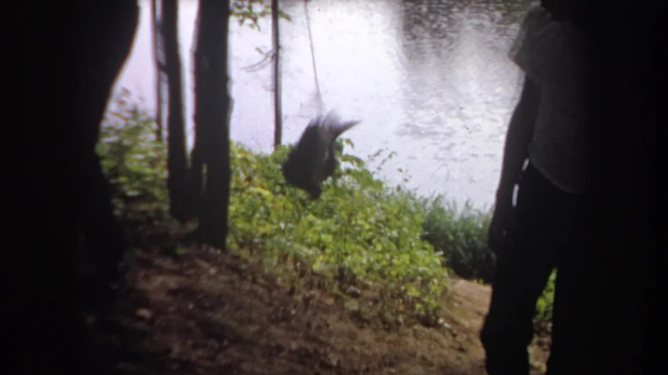1968 Michigan 8mm frame showing a fish on a line near tree trunks by a lake, with a partly obscured person standing nearby.