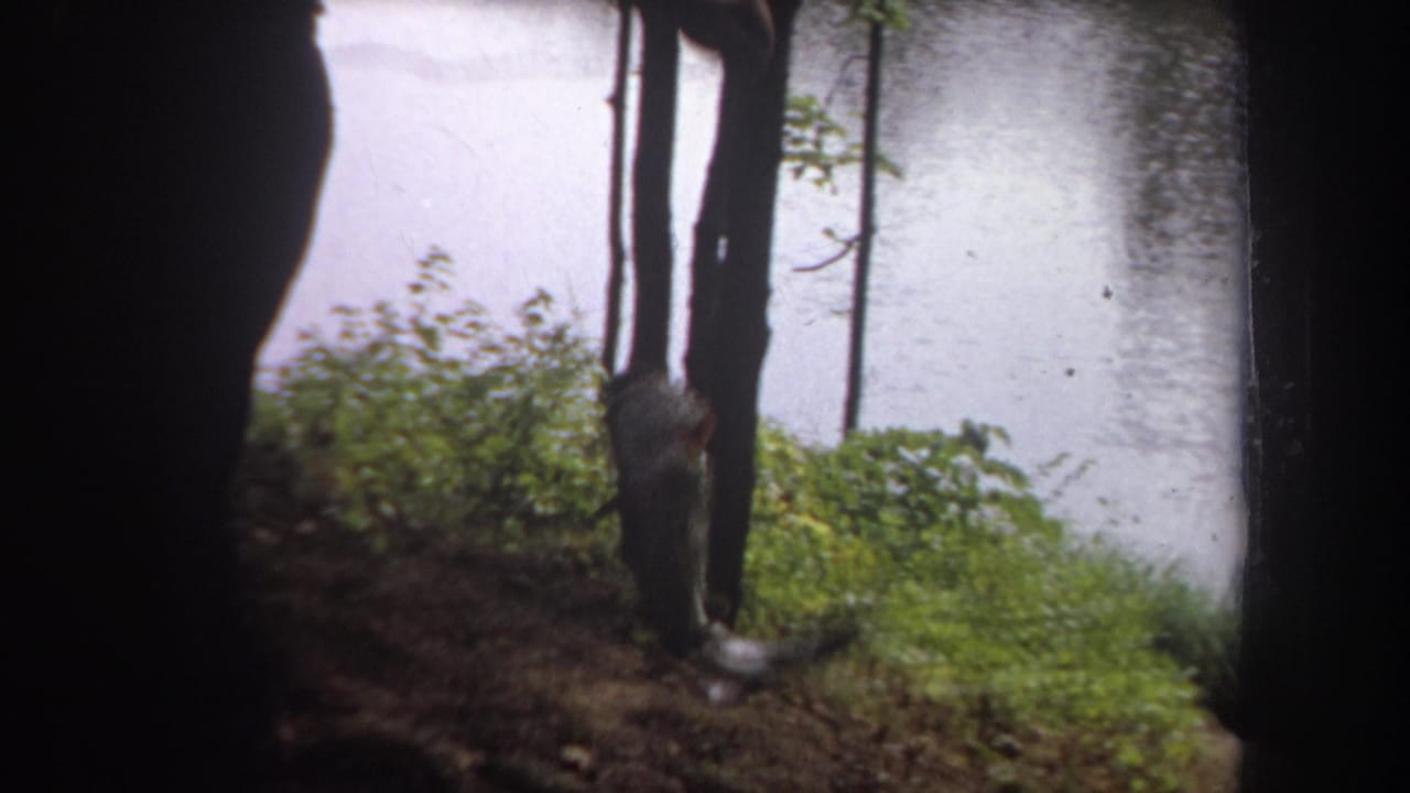 1968 Michigan lakeside home-movie frame with a person near tree trunks and a caught fish hanging close to the water.