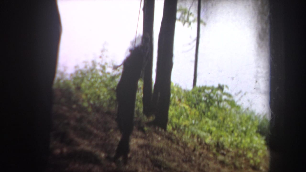 Soft 8mm frame from Michigan showing the caught fish moving on a line between trees at the edge of a lake.