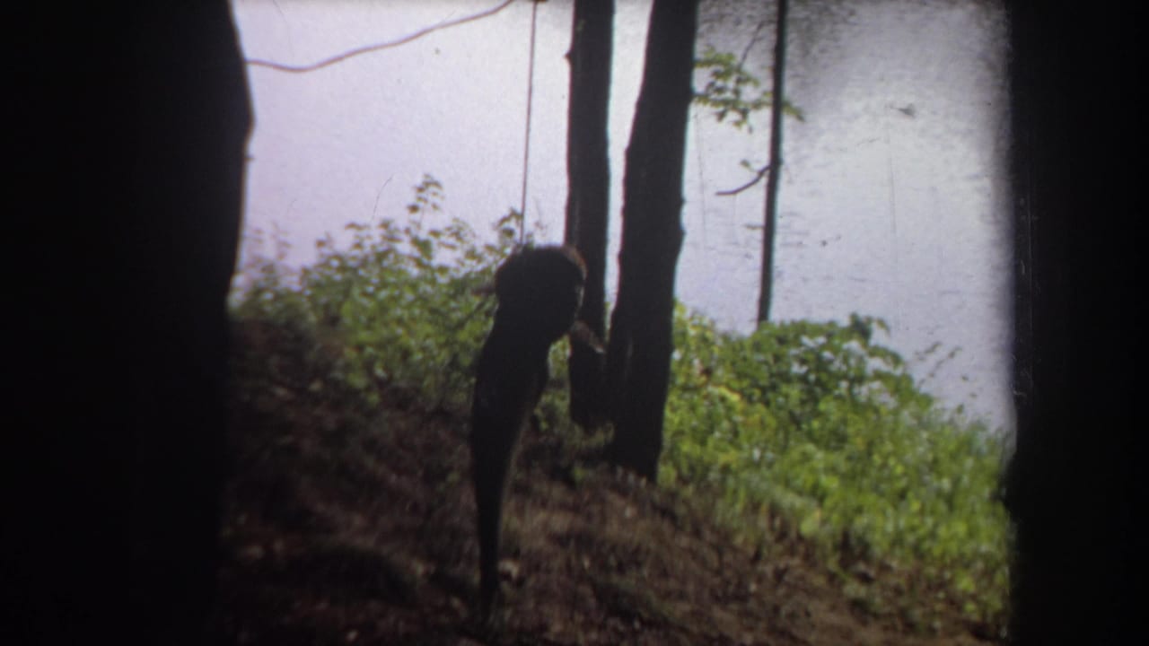 1968 Michigan 8mm frame of a fish hanging near a tree trunk along a wooded lake edge, with vegetation and water behind.