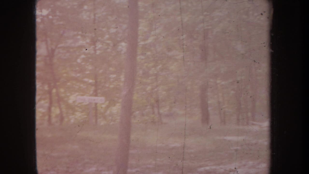 Soft, faded 8mm frame of a wooded campsite in Michigan, with a small sign visible through the trees.
