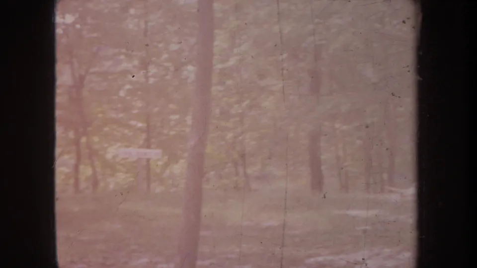 Soft, faded 8mm frame of a wooded campsite in Michigan, with a small sign visible through the trees.