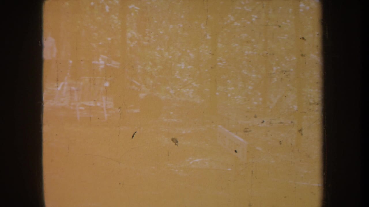 Washed 8mm view of a wooded Michigan outdoor area, with pale chairs or people barely visible through scratches.