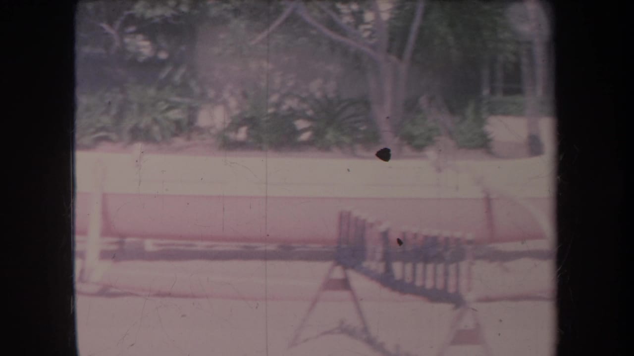1969 Hawaii home-movie frame showing a bright park walkway, trees, low walls, and soft-focus landscaping.