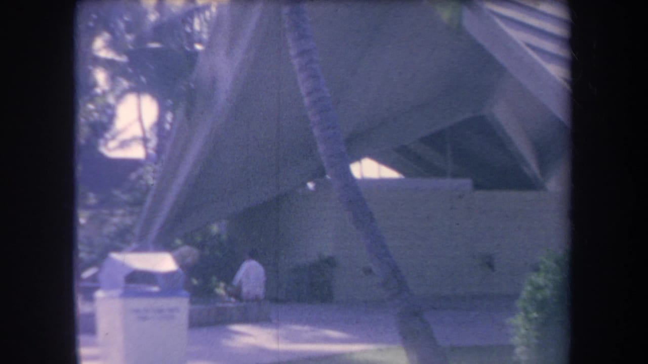 Angular building beside a palm-lined park path with a person standing near the entrance area.