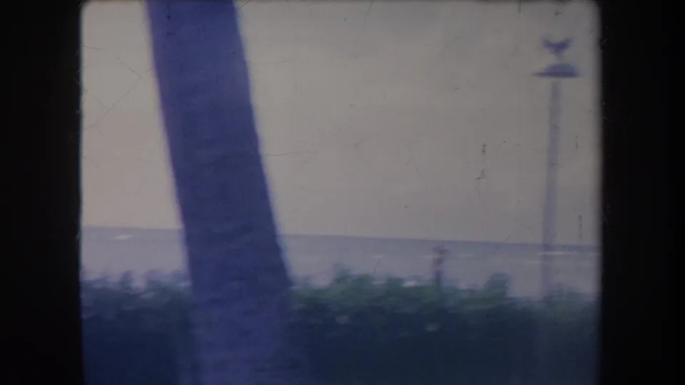 1969 Hawaii home-movie frame with the ocean horizon, beach vegetation, a palm trunk, and soft faded color from the 8mm scan.