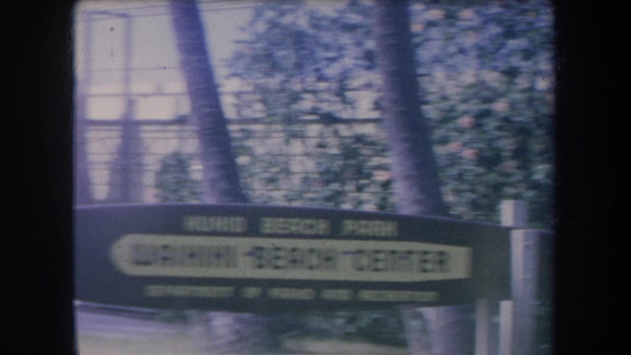 Partially legible Beach Center sign seen through palm trunks and foliage.