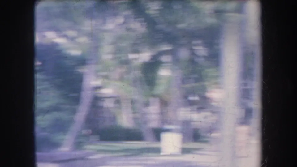 1969 Hawaii home-movie frame with blurred trees, foliage, and a landscaped park or street-edge area.