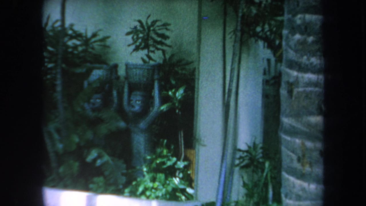 Small statue among tropical plants beside a wall and stonework.