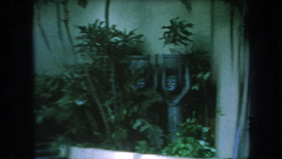 Closer 1969 Hawaii home-movie view of a small outdoor statue framed by tropical leaves and a pale wall.