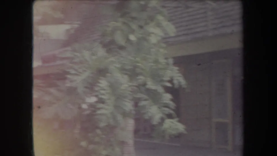 Soft 1969 Hawaii home-movie frame with palm foliage in front of a low tropical building.