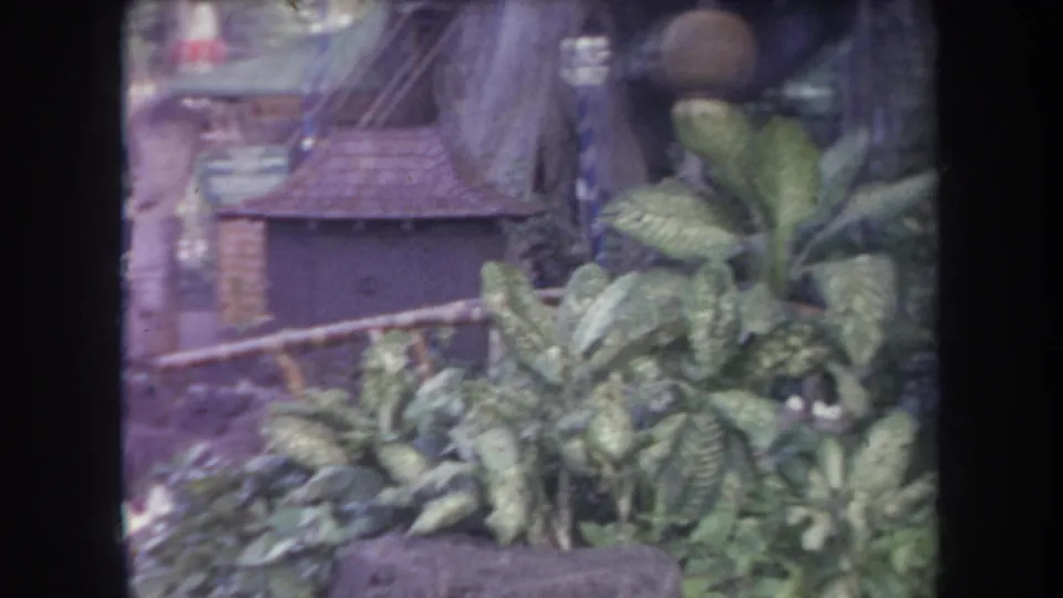 Dense tropical plants, a small thatched-roof structure, and tree roots fill the frame in a Hawaii theme park setting.