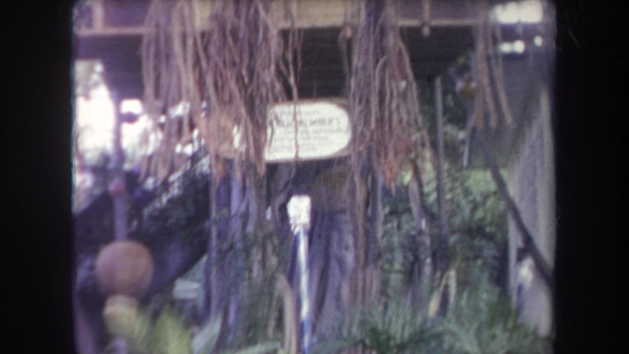 1969 Hawaii 8mm frame with hanging vines, tropical planting, a small sign, and rustic visitor-attraction details.