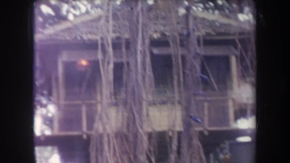 1969 Hawaii 8mm frame showing a thatched roof edge, hanging vines, and a rustic building facade in soft focus.