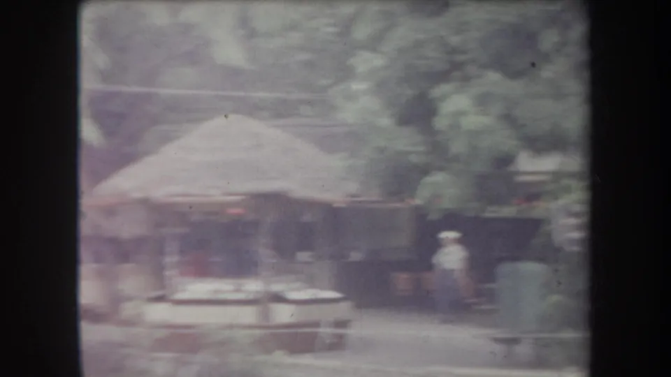 1969 Hawaii home-movie frame showing a thatched shelter, picnic tables, tropical planting, and an adult visitor standing nearby.