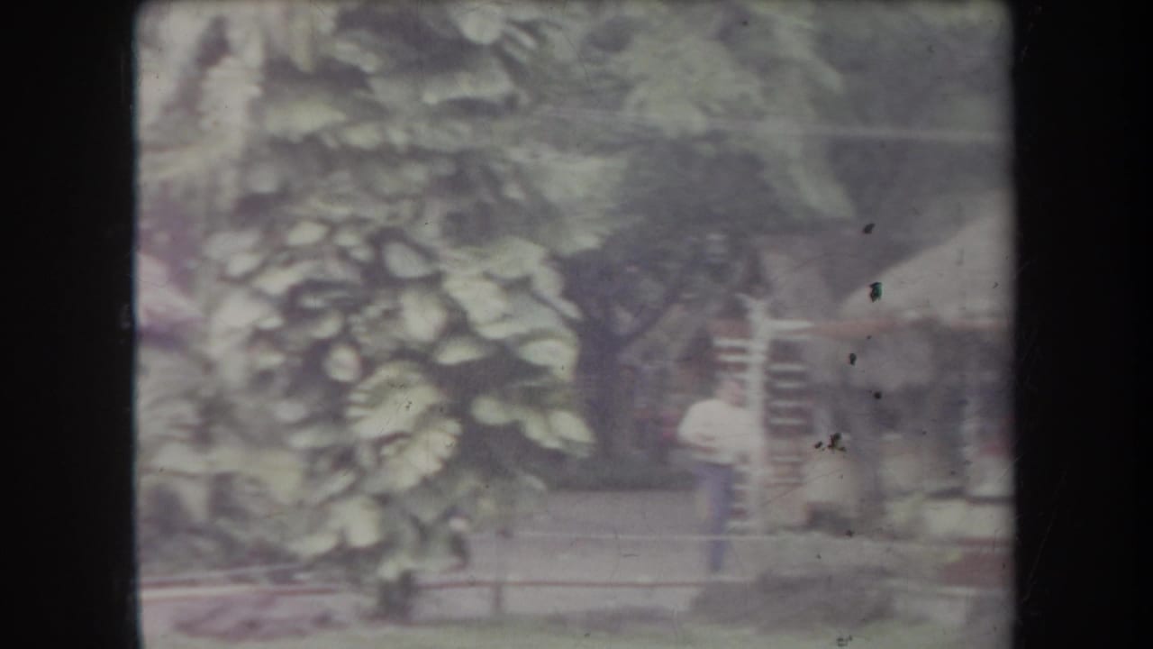 1969 Hawaii garden footage frame with broadleaf plants, benches, and adults partly visible along the path.
