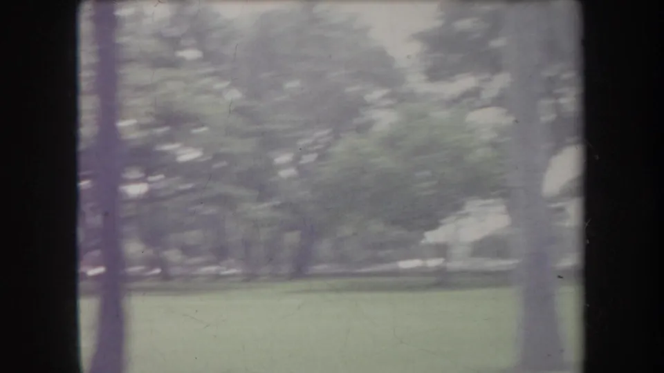 1969 Hawaii 8mm frame showing a blurred lawn and trees, with a vertical pole crossing the foreground during handheld movement.