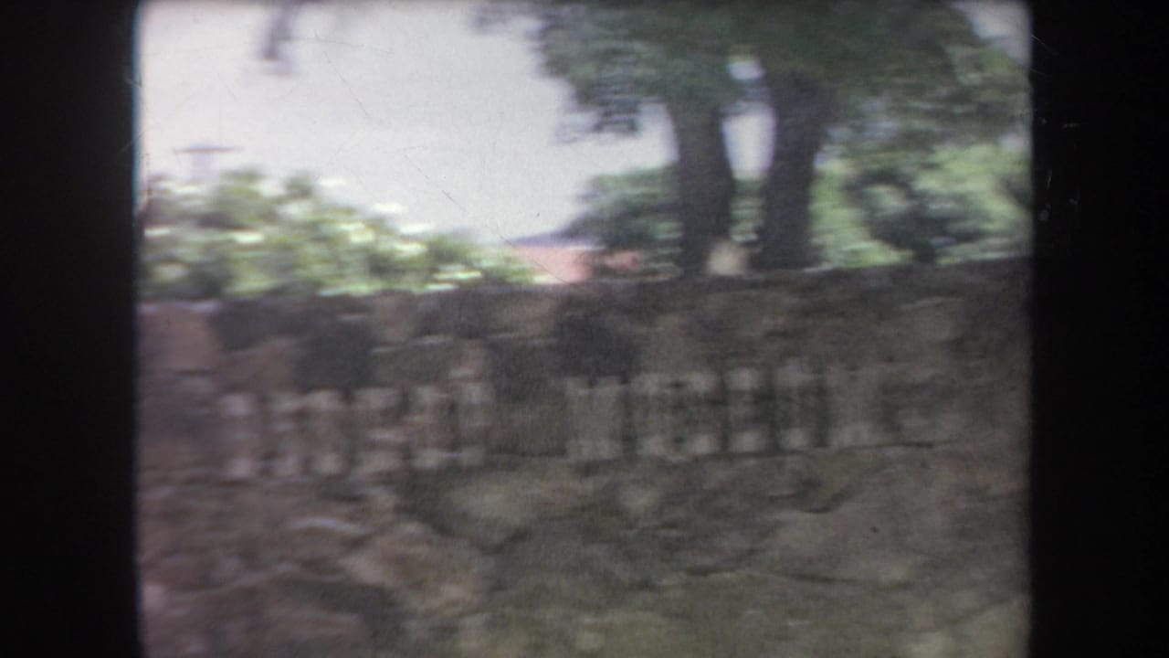 Low stone wall with faint lettering, plants, trees, and bright sky behind it.