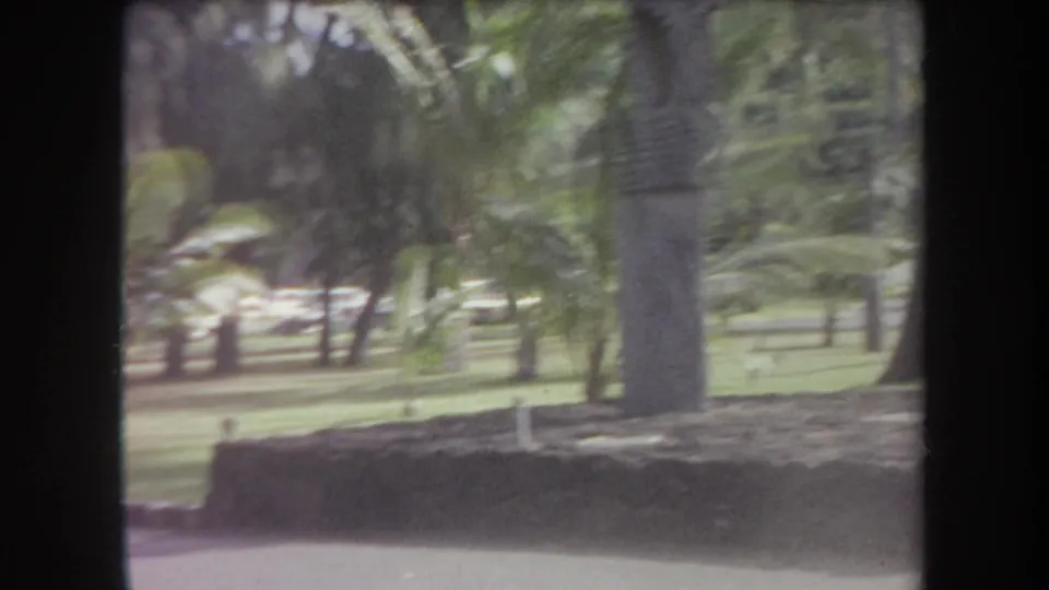 1969 Hawaii frame showing palm trees, lawn, a low stone edge, and a distant person in a blue shirt walking through the park area.