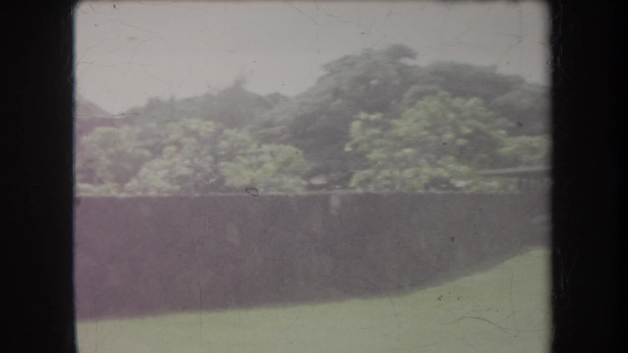 Green hillside and wall framed by dark vertical film edges.