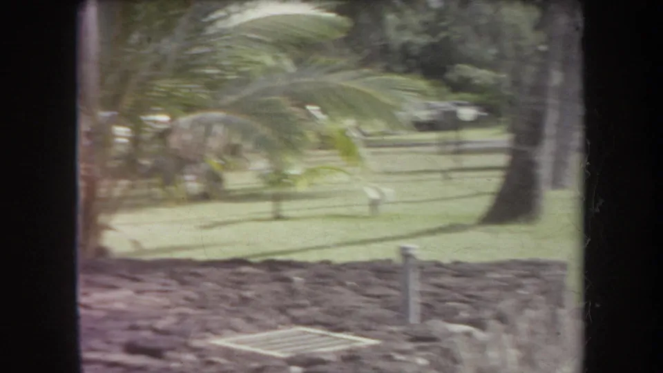 1969 Hawaii home-movie view through a window with palm fronds, lawn, lava-rock edging, and roadside landscaping.